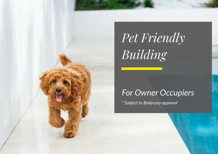 G14/8 Meadowbank Road Meadowbank_10