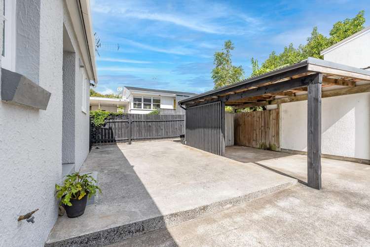 13A Carlton Street Hillsborough_17