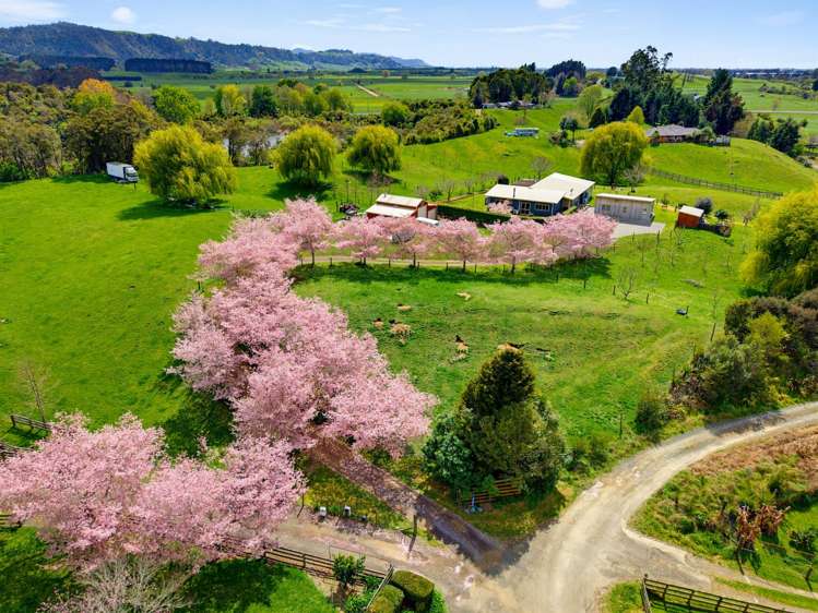 4 Pukeko Lane Onepu_29