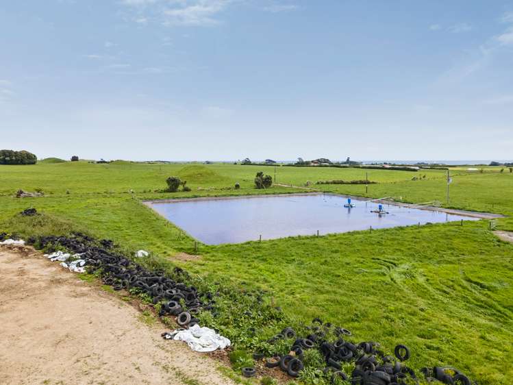 266 Pungarehu Road Pungarehu_19