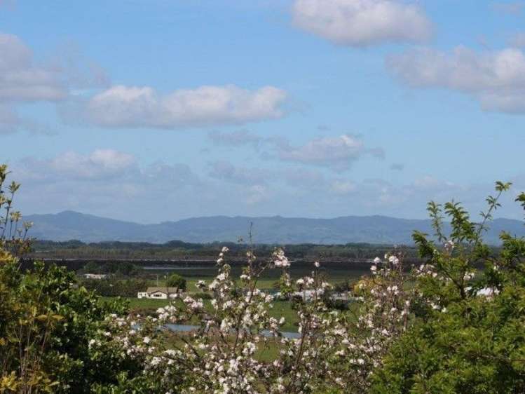 104 Grafton Road Thames_30