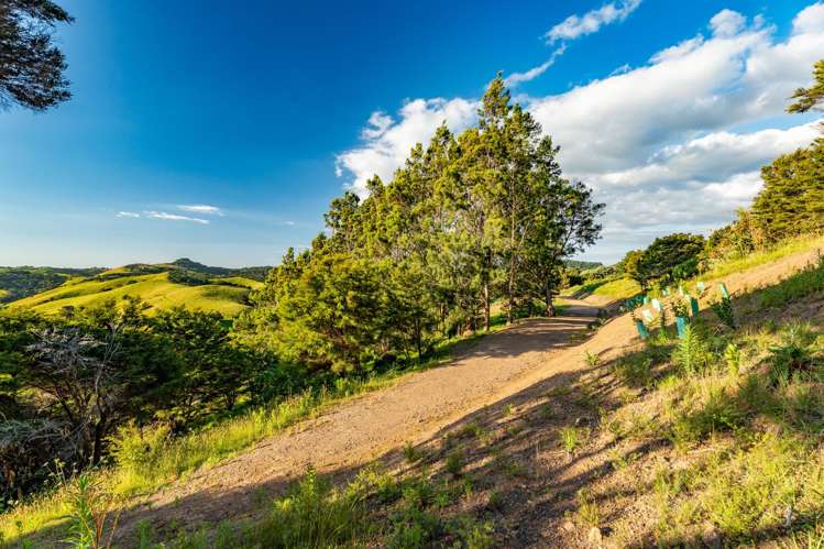 79-85 Awaawaroa Road Waiheke Island_17