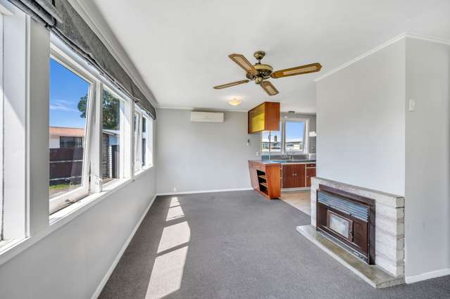 47A Geddis Ave Maraenui_2