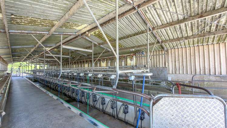 528 Monument Road Maramarua_19