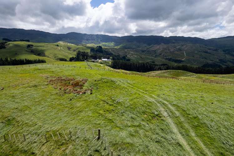 559 Korora Road Pongaroa_33