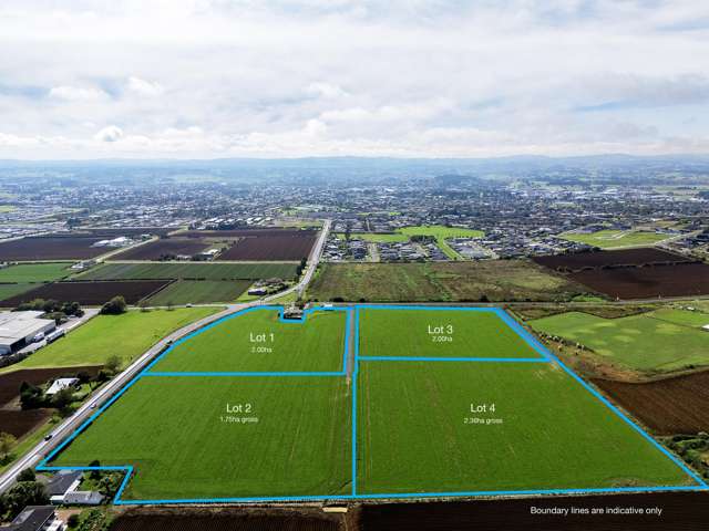 Lot 1 Foy Road Pukekohe_2