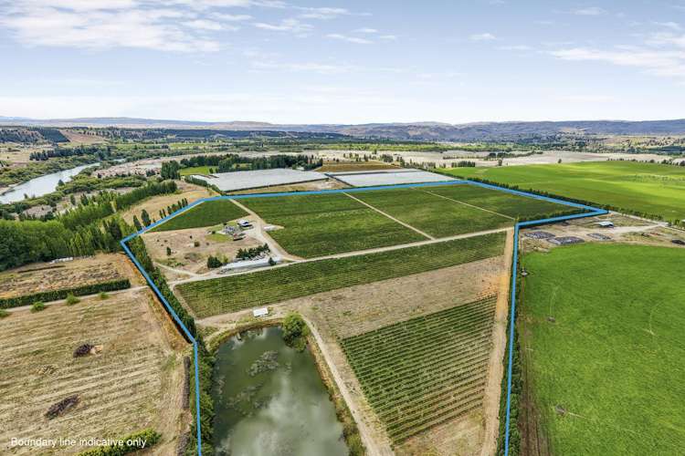 89 McPherson Road, Earnscleugh Alexandra_16