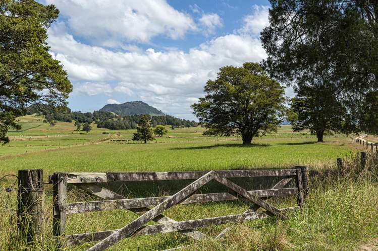 111 Corbett Road Whakapara_18