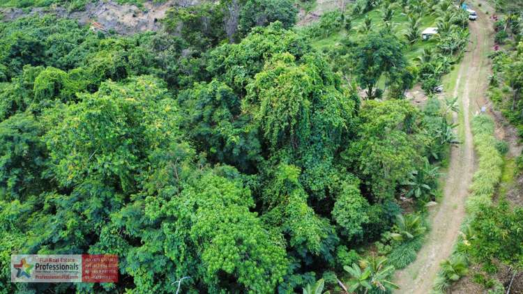 Address withheld Savusavu_14