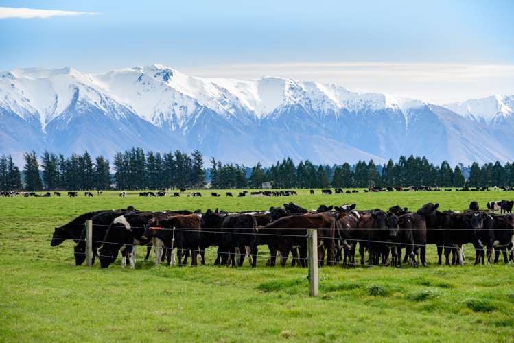 575 Leaches Road Hororata_0