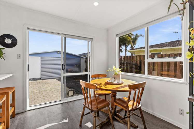 31 Plunket Street Tamatea_10