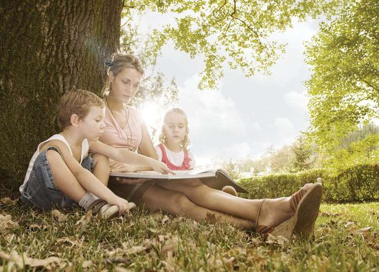 126 Totara Road Miramar_8