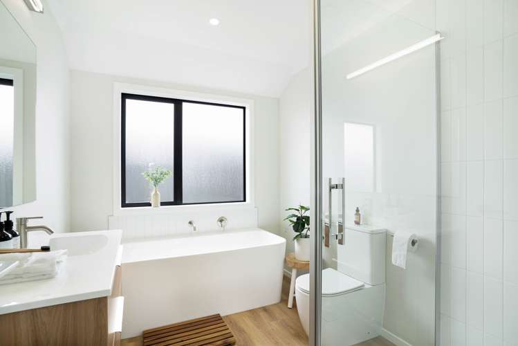 3 Nathan Lane Masterton_9