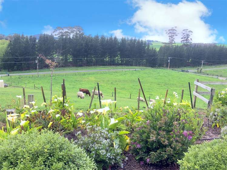 342 Homewood Road Waipawa_17