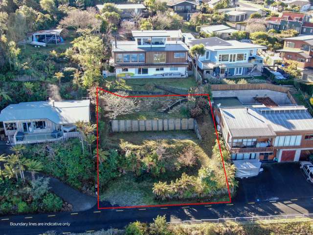 828 Wily Terrace Acacia Bay_3