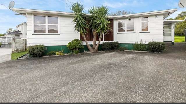 679A Hillsborough Road Mount Roskill_1