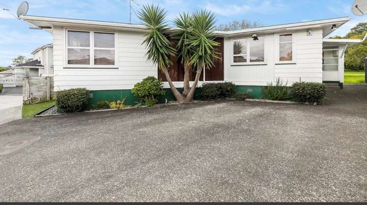 679A Hillsborough Road Mount Roskill_1