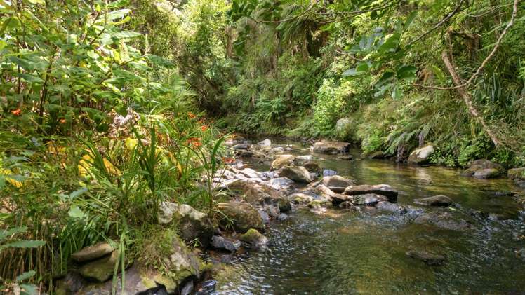 25 Keridale Lane Kerikeri_35
