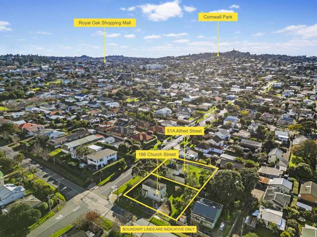 51a Alfred Street & 186 Church Street Onehunga_3