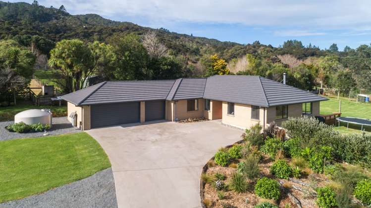 150 Beech Lane Coromandel_3