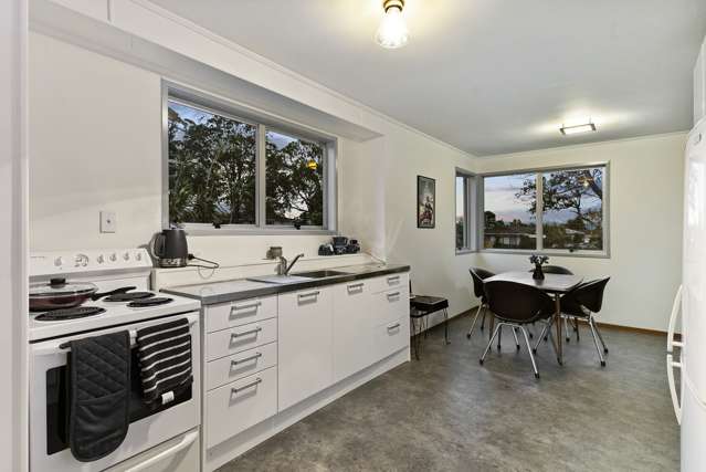 376 Roscommon Road Clendon Park_3