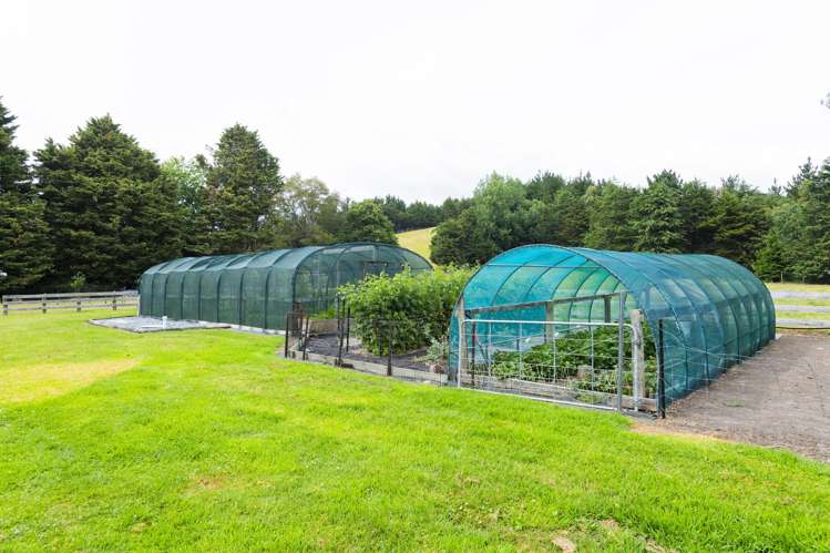 909A Wharekopae Road Ngatapa_21