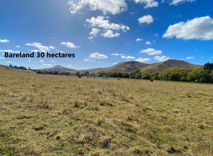 21 Patterson Road Palmerston_10