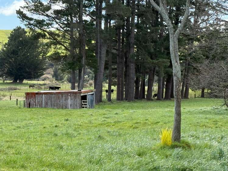 549 Norsewood Ormondville Road Dannevirke_3