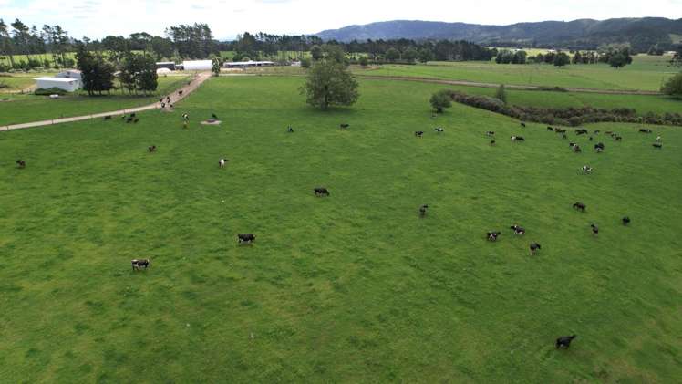 1124 Waiare Road Okaihau_12