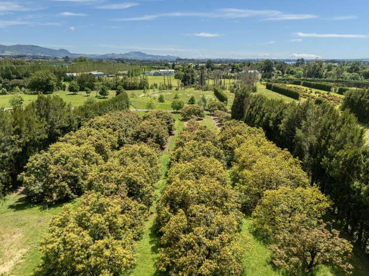 56 Thompsons Track Aongatete_18