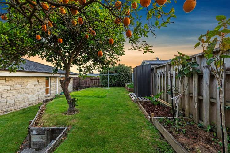 51 Ridge Street Otumoetai_16