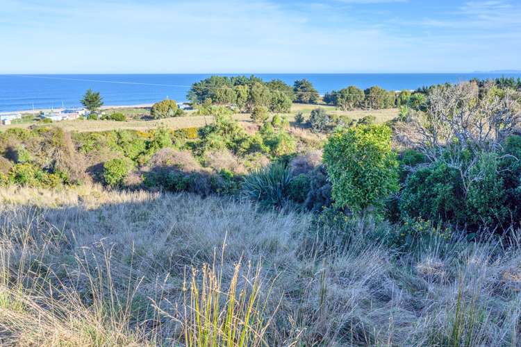 168 Chrystalls Beach Road Milton_10