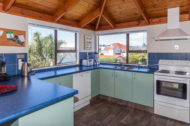 101b Tuck Road Whangamata_2