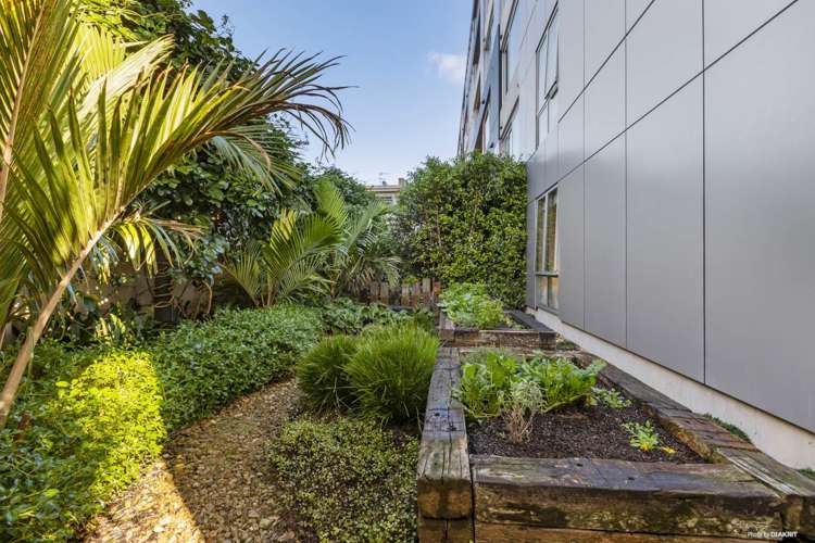 G02/6a Nugent Street Grafton_16