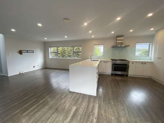 45 Ellis Avenue Mt Roskill_2