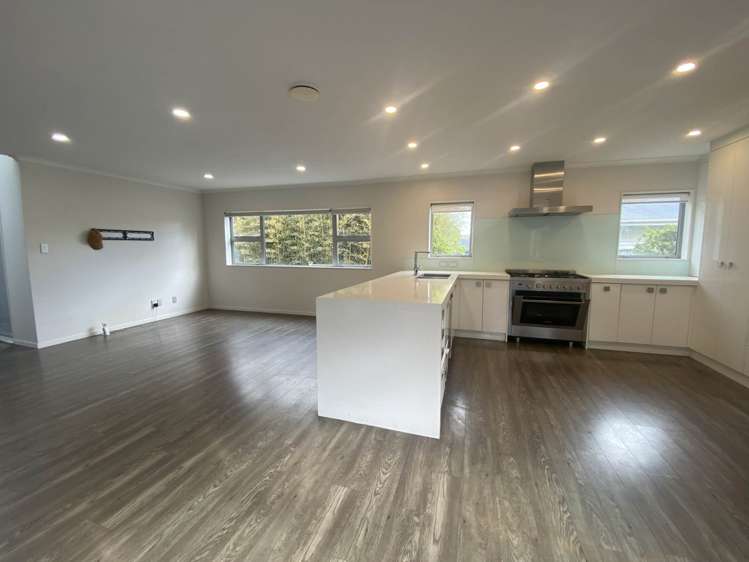 45 Ellis Avenue Mt Roskill_2