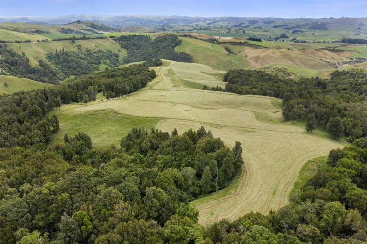 134 Millard Road Maihiihi_18