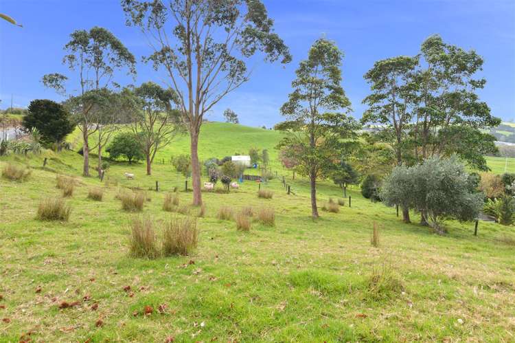 191 Ngatoka Road Mangapai and Surrounds_22