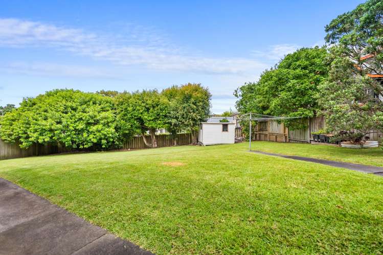 19 Cradock Street Avondale_18