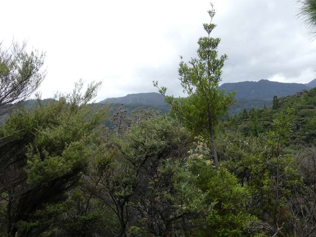 13 Harpoon Hill Great Barrier Island (Aotea Island)_1