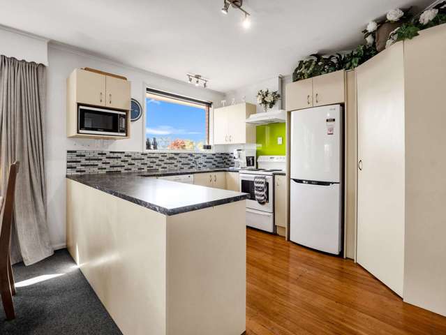 35 Johnstone Street Tinwald_1