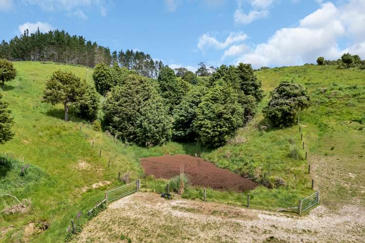 2568e Paparoa-Oakleigh Road Paparoa_19