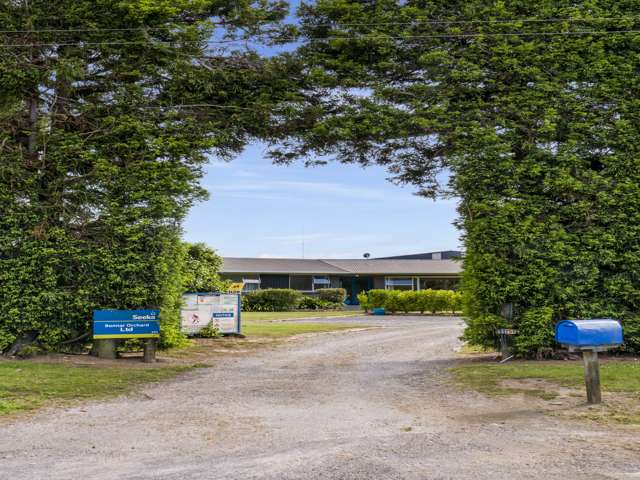 151 Beach Road Katikati_4