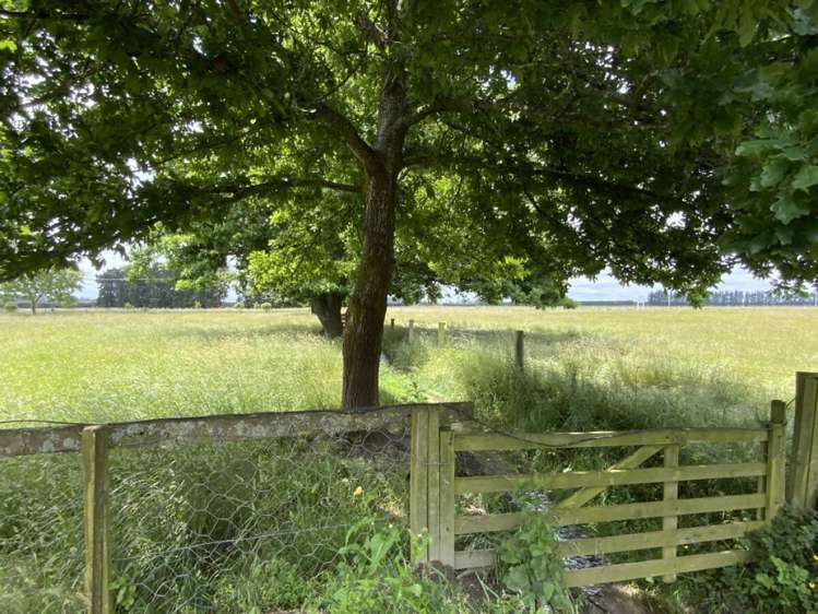 214 Hacketts Road Darfield_8