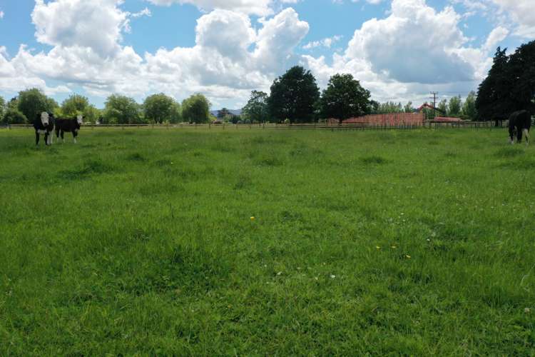 17 Halls Road Pahiatua_15