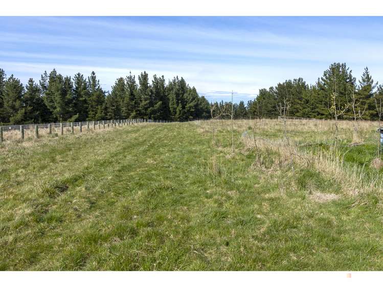 Downs Road Geraldine_6