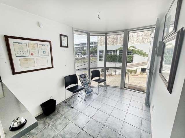 35 Randolph Street Eden Terrace_3