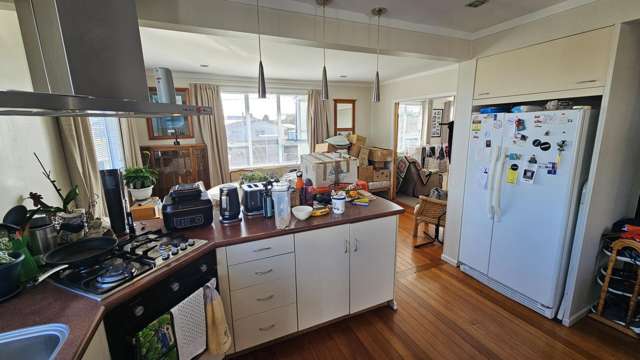 2 Saxton Road Vogeltown_4