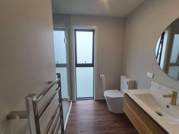 21B Ferguson Street Levin_6