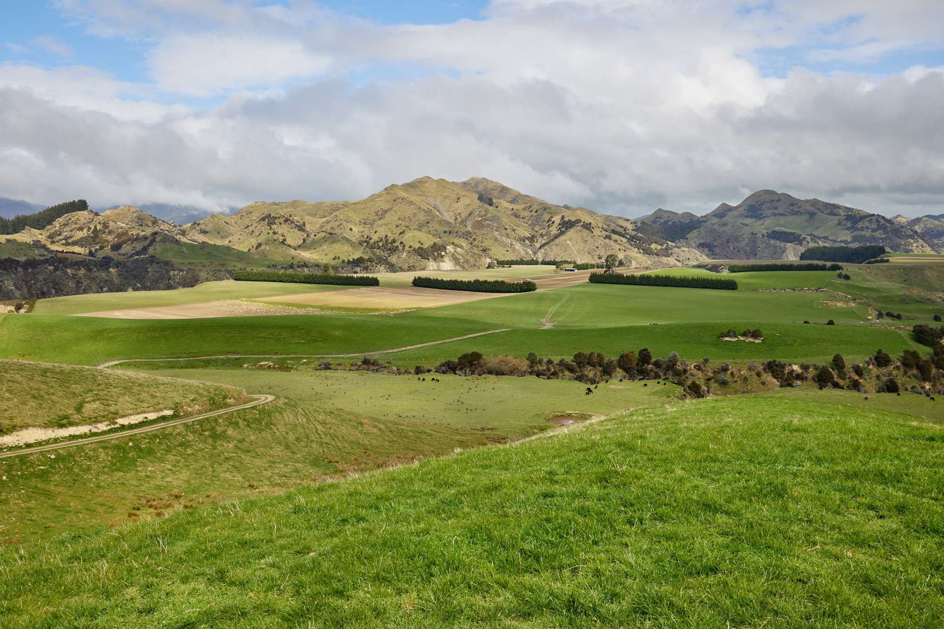 3717 Inland Kaikoura Road Hurunui Hurunui Rural Property For Sale